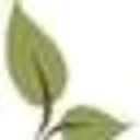 Charting Nature Coupon Codes
